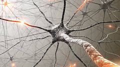 Sapiens - El cerebro, última frontera - 18/09/21