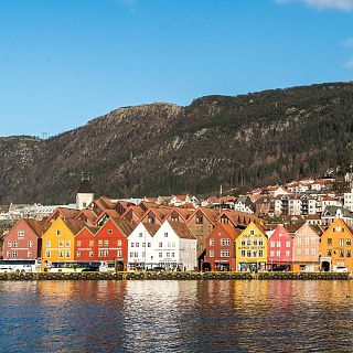 El gallo que no cesa