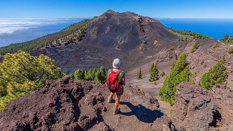 Más cerca - El impacto de la lava sobre la biodiversidad de La Palma - Escuchar ahora 