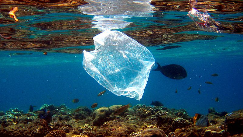 Las mañanas de RNE con Pepa Fernández - 'Comiendo plástico': el peligro del plástico en los océanos - Escuchar ahora