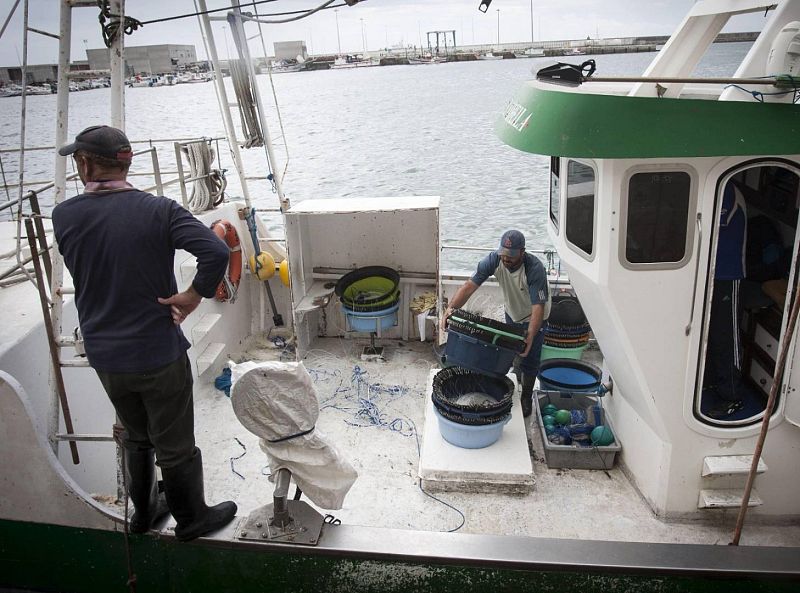 Cinco Continentes - La justicia europea anula el acuerdo agrícola y otro pesquero entre la UE y Marruecos - Escuchar ahora