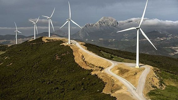 El bosque habitado