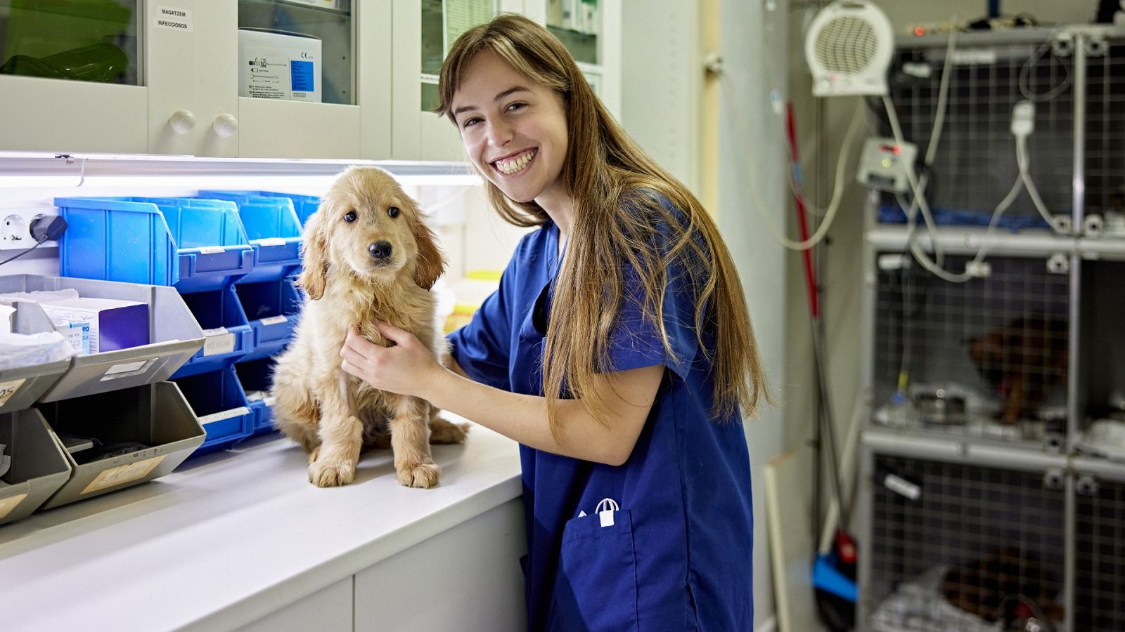 Claves de la futura ley de protección y derecho animal