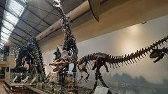 Reserva Natural - El Museo de Ciencias Naturales celebra 250 años de historia - 14/10/21