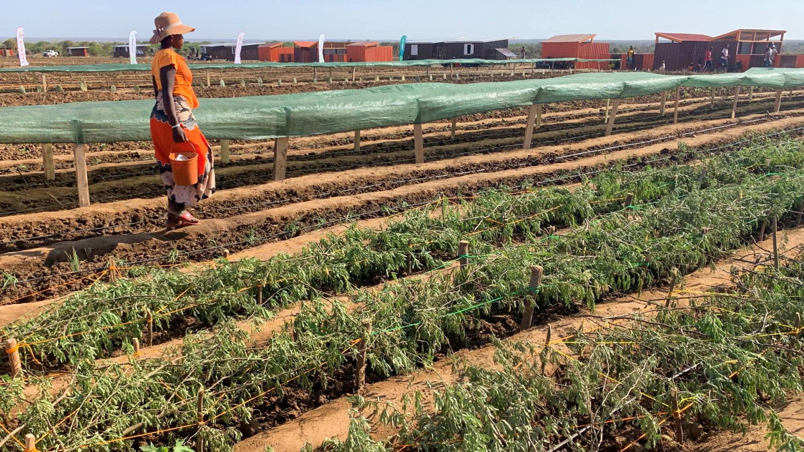 Reportajes 5 continentes - El cambio climático expulsa a millones de sus hogares - Escuchar ahora
