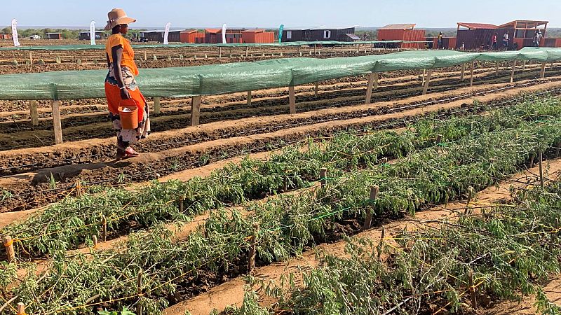 Reportajes 5 continentes - El cambio climático expulsa a millones de sus hogares - Escuchar ahora