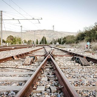 El gallo que no cesa