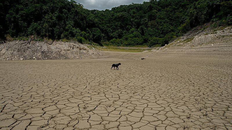 Las mañanas de RNE con Íñigo Alfonso - Hacia la nueva COP26: "El tiempo para la acción es ahora" - Escuchar ahora