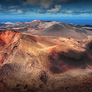 El gallo que no cesa