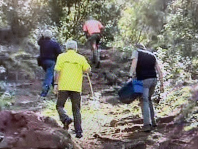 Investigan la muerte de una decena de burros en Castelló - 25/10/21 - Escuchar ahora