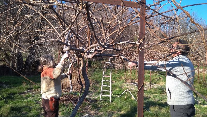 RadioActivas en Radio 5  - Agroecología frente a los retos del presente: La experiencia de  Ecojerte y Red Calea - 10/11/21 - Escuchar ahora