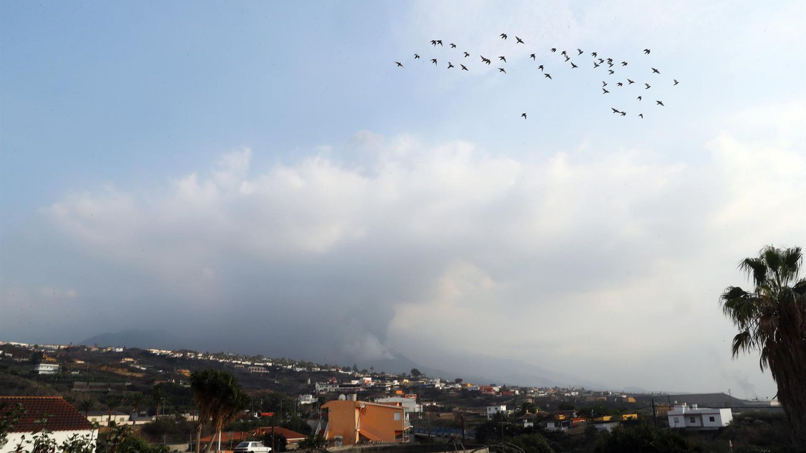 Las mañanas de RNE con Íñigo Alfonso - Aparecen "signos positivos" que anticiparían el final de la erupción en La Palma- Escuchar ahora