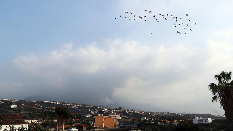 Las mañanas de RNE con Íñigo Alfonso - Aparecen "signos positivos" que anticiparían el final de la erupción en La Palma- Escuchar ahora