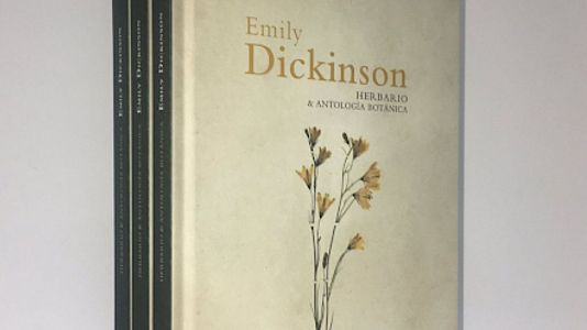 Jardines en el bolsillo - Jardines en el bolsillo - 06/11/21 - escuchar ahora