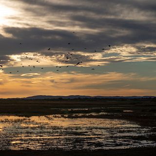 14 Horas fin de semana