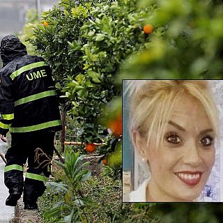 14 Horas fin de semana