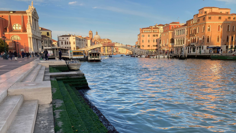 Reportajes 5 Continentes - La lucha de Venecia contra las aguas altas - Escuchar ahora