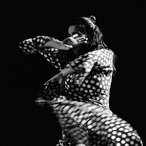 Tiempo flamenco - Tiempo flamenco - En Tiempo flamenco el Día Mundial del Flamenco - 14/11/21 - escuchar ahora