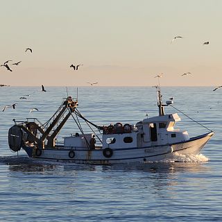 Españoles en la mar