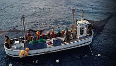 Españoles en la mar - 'Los almadrabos', la última almadraba del mediterráneo español - 16/11/21