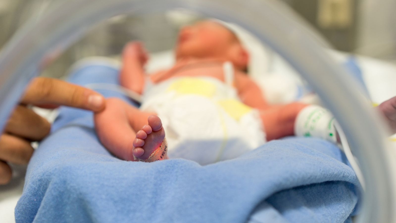 14 horas - Bebés prematuros: los beneficios de la 'separación cero' - Escuchar ahora