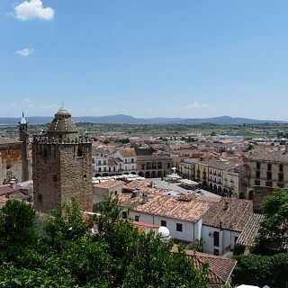 El gallo que no cesa