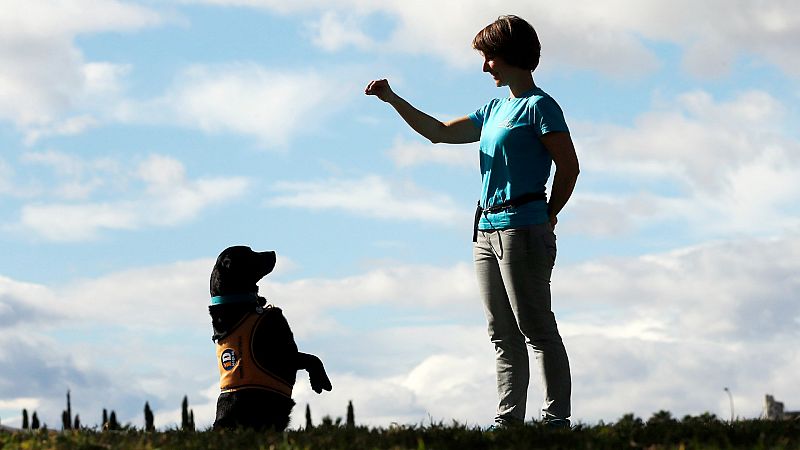 14 horas - Proyecto ESCAN: perros contra la violencia de género - Escuchar ahora