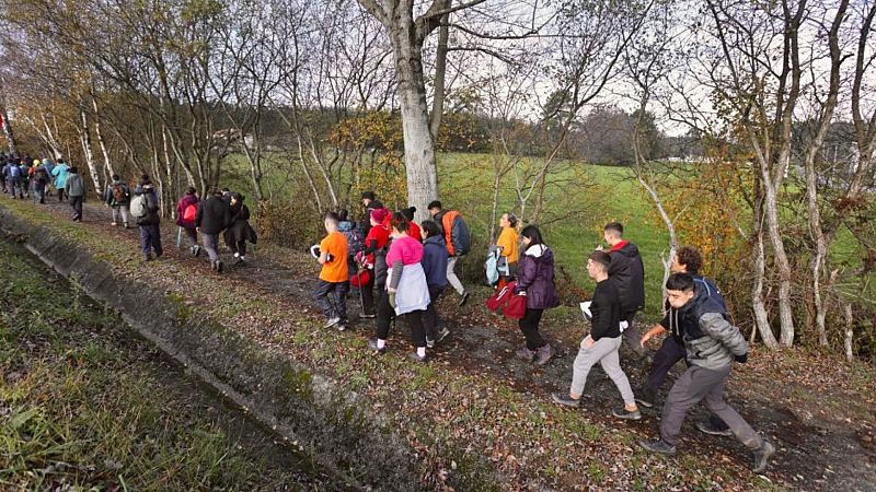 Más cerca - Un camino de valores para menores especialmente vulnerables - Escuchar ahora