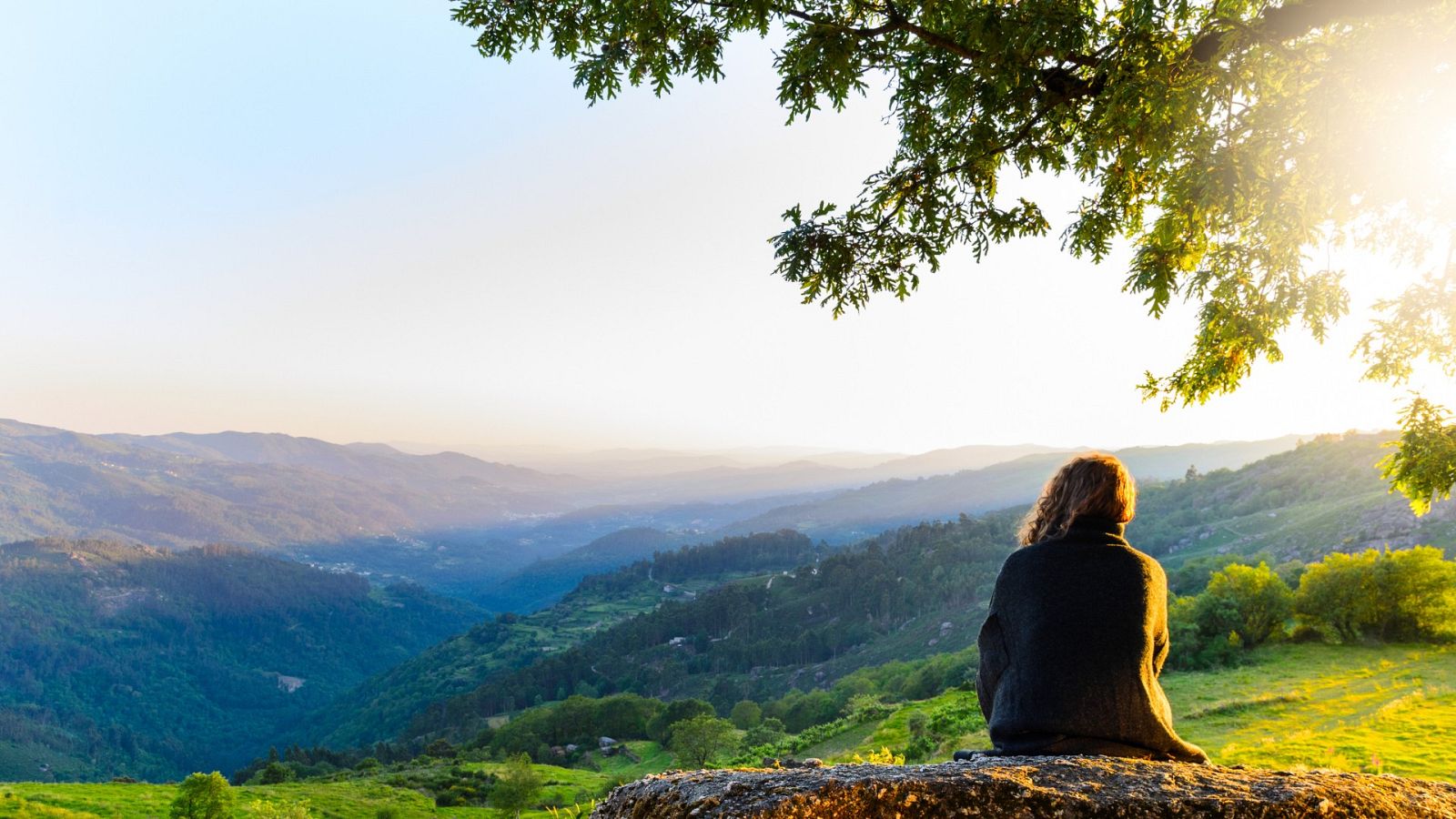 Tolerancia Cero - Puntos violeta: salir del maltrato en el medio rural - 10/12/21 - escuchar ahora