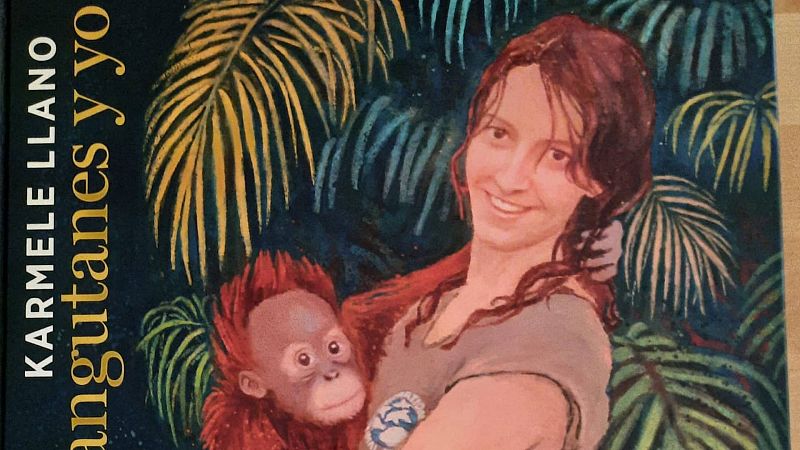 Cinco Continentes - La amenaza del cambio climático sobre los orangutanes de Borneo - Escuchar ahora