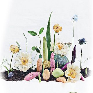 Las mañanas de RNE con Íñigo Alfonso