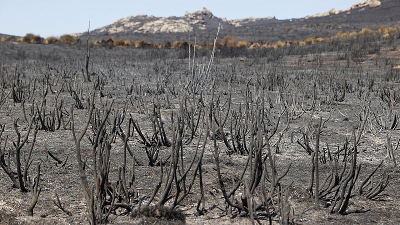 Las Maanas de RNE - Navalacruz, tras el incendio: "Seguimos prcticamente igual que cuando finaliz" - Escuchar ahora