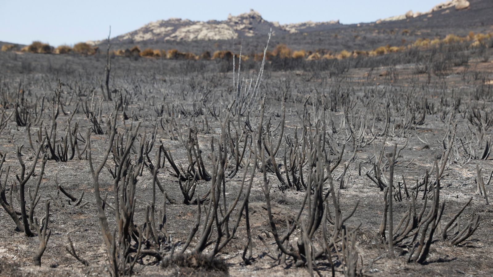 Las Mañanas de RNE - Navalacruz, tras el incendio: "Seguimos prácticamente igual que cuando finalizó" - Escuchar ahora