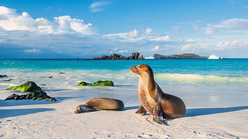 Cinco Continentes - Ecuador ampla en 60.000 kilmetros la reserva marina de las Galpagos - Escuchar ahora
