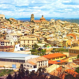 El gallo que no cesa