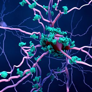 A golpe de bit - A golpe de bit - Frenar el envejecimiento celular es posible - 18/01/22 - escuchar ahora