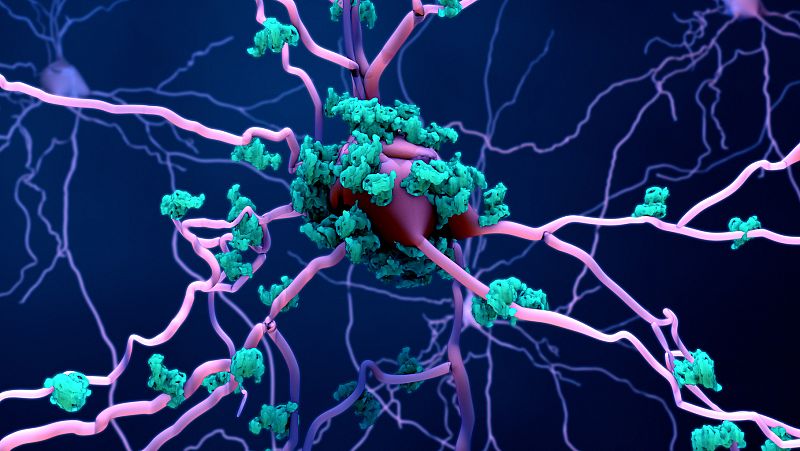 A golpe de bit - Frenar el envejecimiento celular es posible - 18/01/22 - escuchar ahora