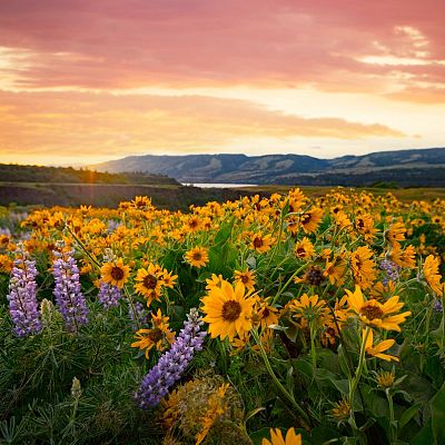 Gran repertorio - SCHUMANN: Sinfonía Primavera - 19/01/22 - escuchar ahora