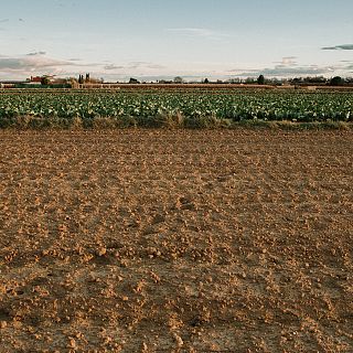 Mundo rural