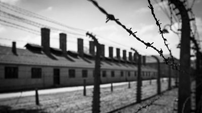 Las cuñas de RNE - Holocausto: el vacío de la desmemoria, en 'Memoria de delfín' - escuchar ahora