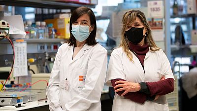 24 horas - Investigadores españoles hallan un biomarcador para detectar el cáncer de páncreas en fase inicial - Escuchar ahora
