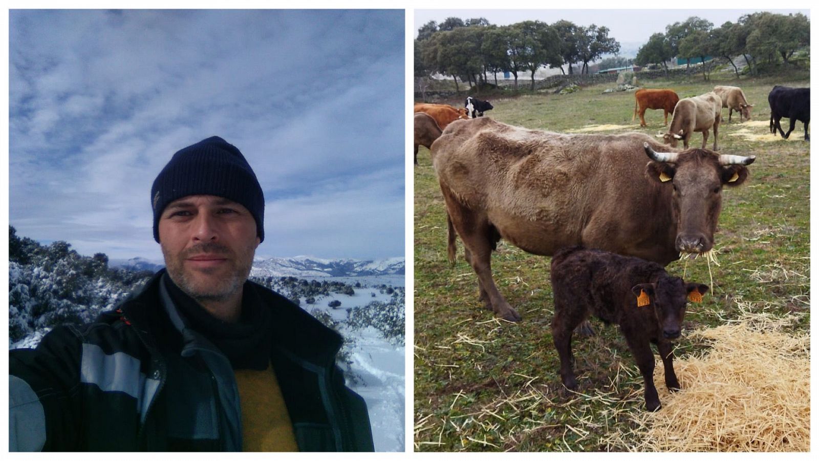 Por tres razones - Erasmus agrario: jóvenes agricultores y ganaderos que viajan - escuchar ahora