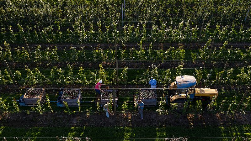 14 Horas - ¿Quiénes se van a beneficiar de la subida del SMI? - Escuchar ahora