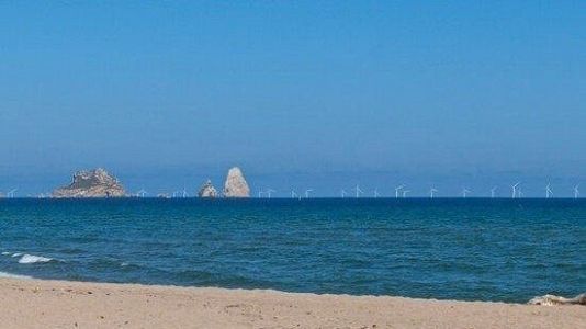 Avui sortim - Avui sortim - Vida verda - Científics contra el Parc Eòlic Marí a la Costa Brava