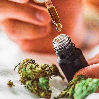 Regulación del cannabis medicinal: el dolor no espera