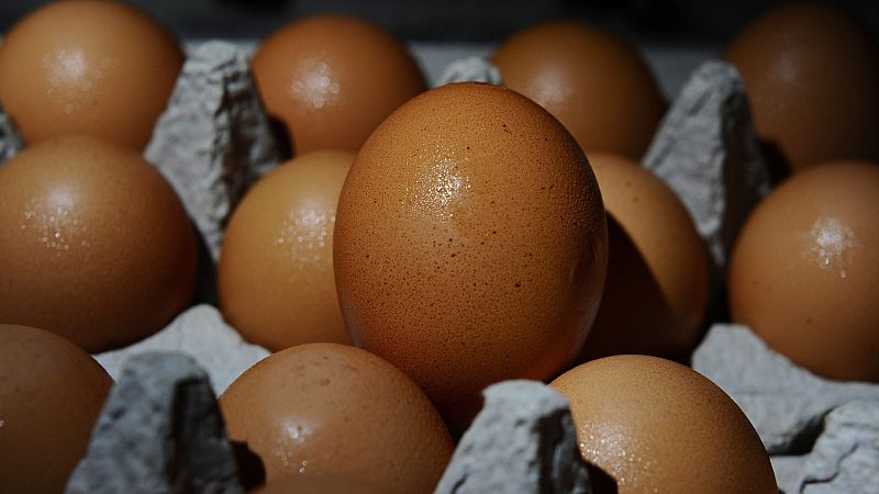 24 horas - Huevos españoles, implicados en casos de salmonela en Francia - Escuchar ahora