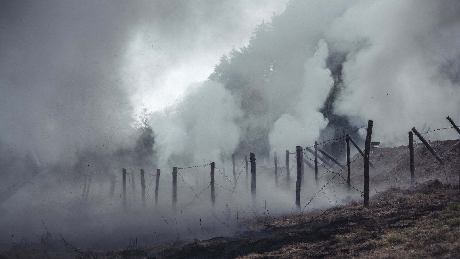 Las mañanas de RNE con Pepa Fernández - 'Verba Volant' - la guerra - 25/02/22 - Escuchar ahora