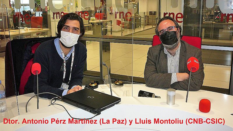 Car-T, nueva arma contra los tumores sanguíneos - Escuchar ahora