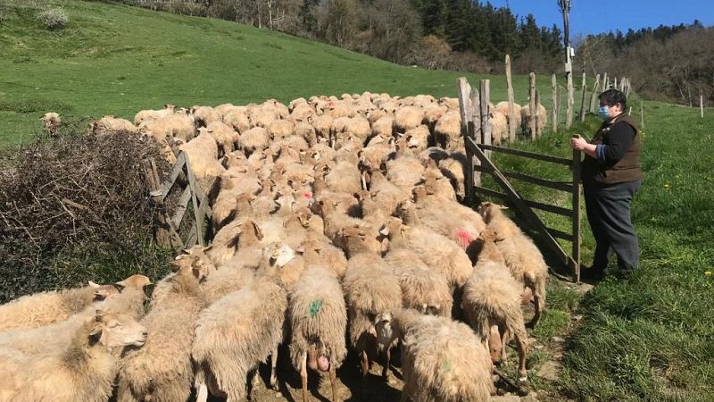 Más cerca - "¿No está el jefe? La jefa soy yo": tres generaciones de mujeres al frente de un caserío - Escuchar ahora