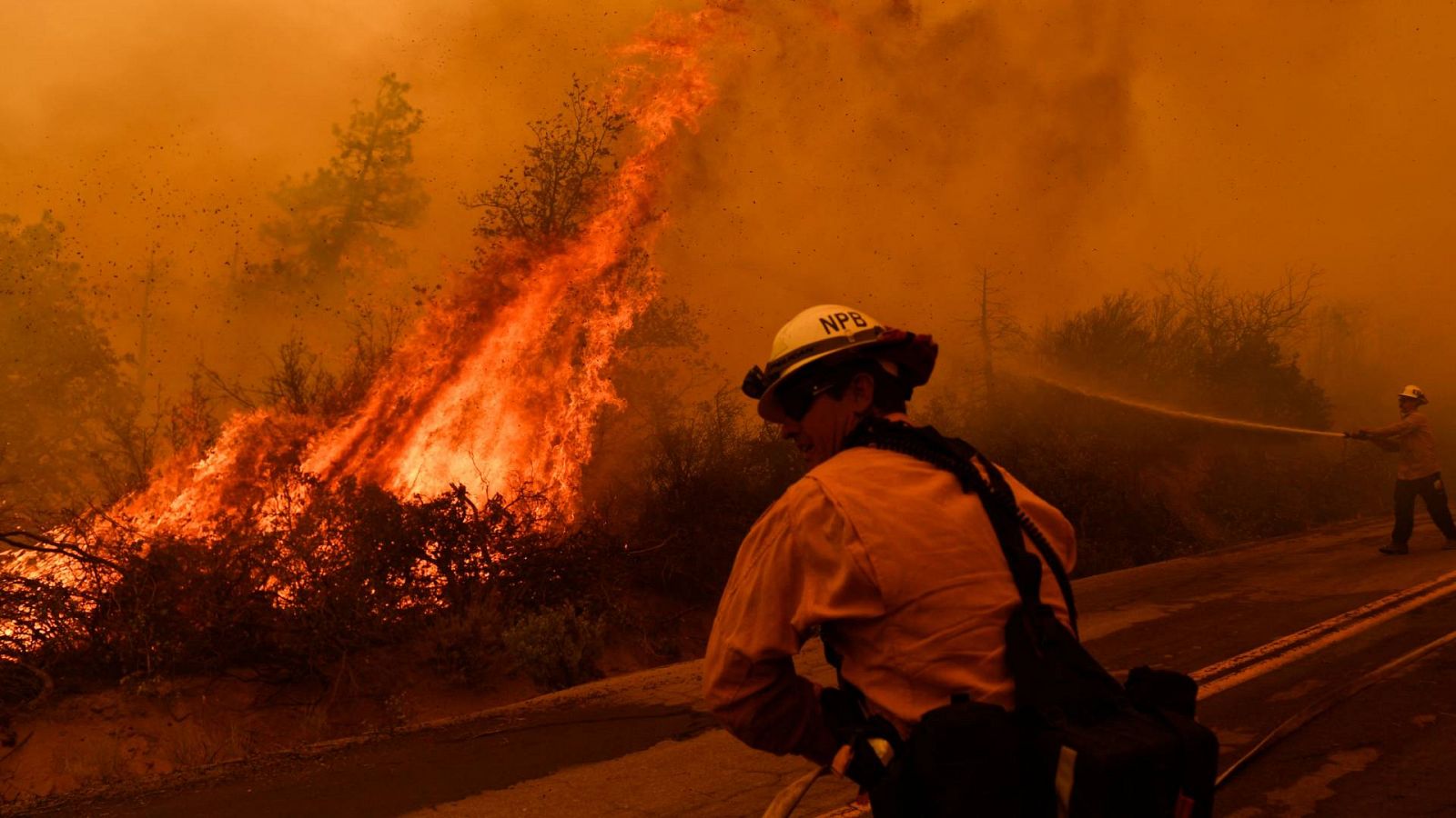 Cinco continentes - Algunos efectos del cambio climático son ya irreversibles - Escuchar ahora